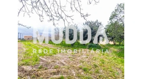 Terreno para Venda em Beduído e Veiros