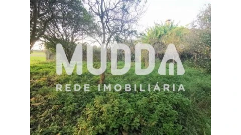 Terreno para Venda em Beduído e Veiros