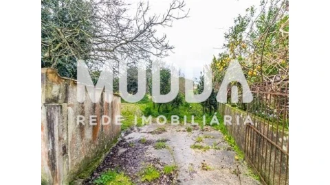 Terreno para Venda em Beduído e Veiros