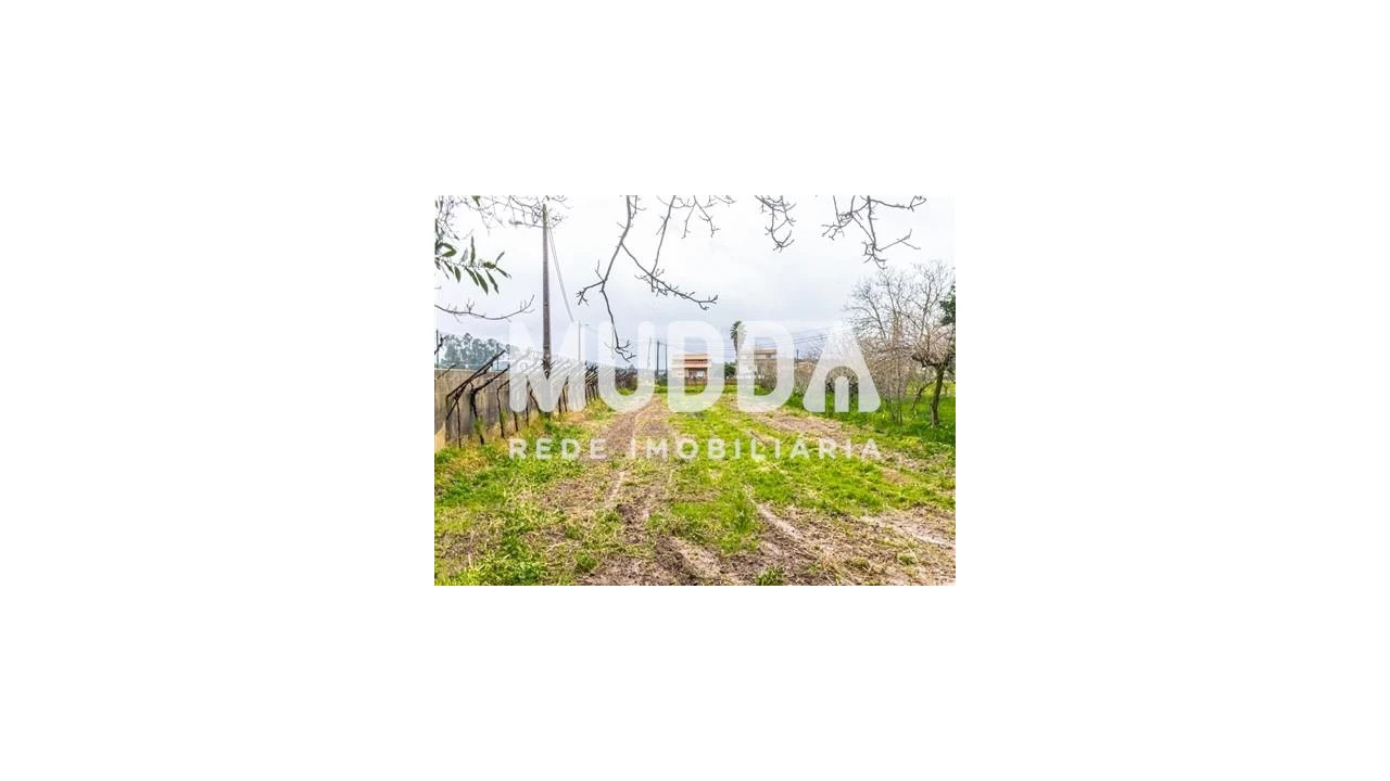 Terreno para Venda em Beduído e Veiros Foto 9
