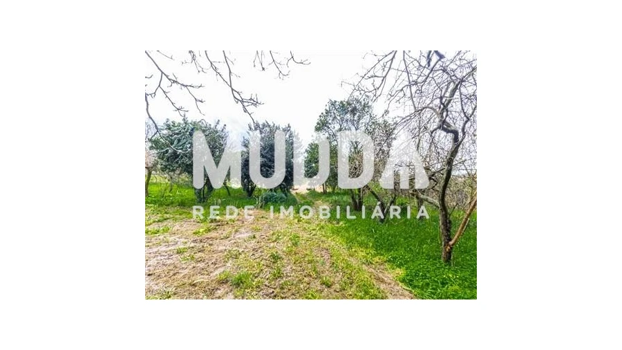 Terreno para Venda em Beduído e Veiros Foto 6