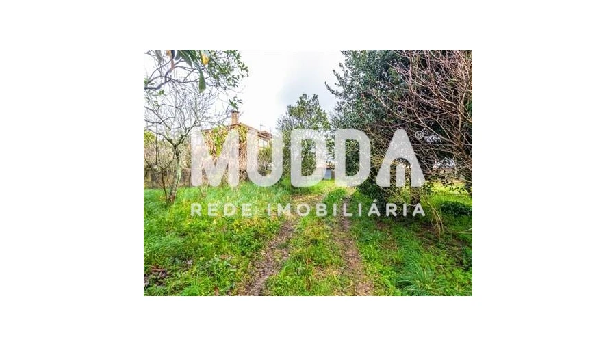 Terreno para Venda em Beduído e Veiros Foto 4