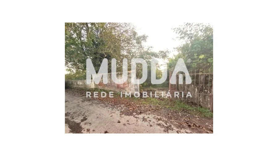 Terreno para Venda em Beduído e Veiros Foto 5
