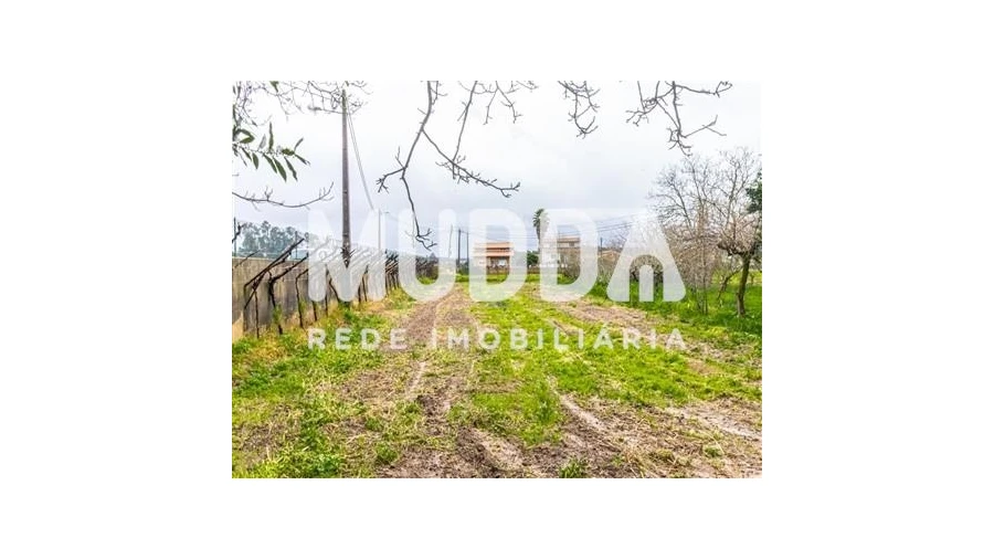 Terreno para Venda em Beduído e Veiros Foto 9