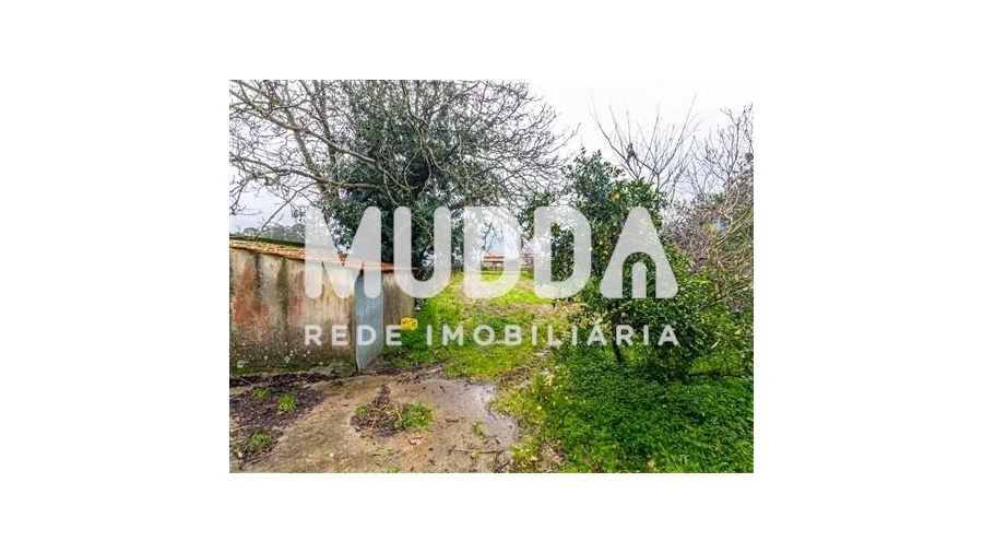 Terreno para Venda em Beduído e Veiros Foto 3