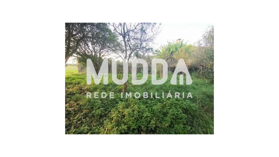 Terreno para Venda em Beduído e Veiros Foto 7
