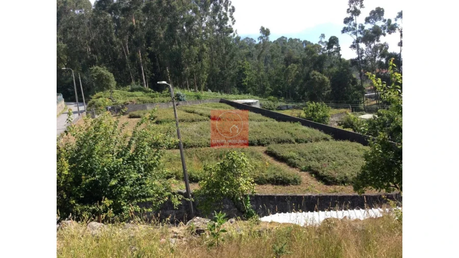 Terreno para Venda em Carapeços Foto 1