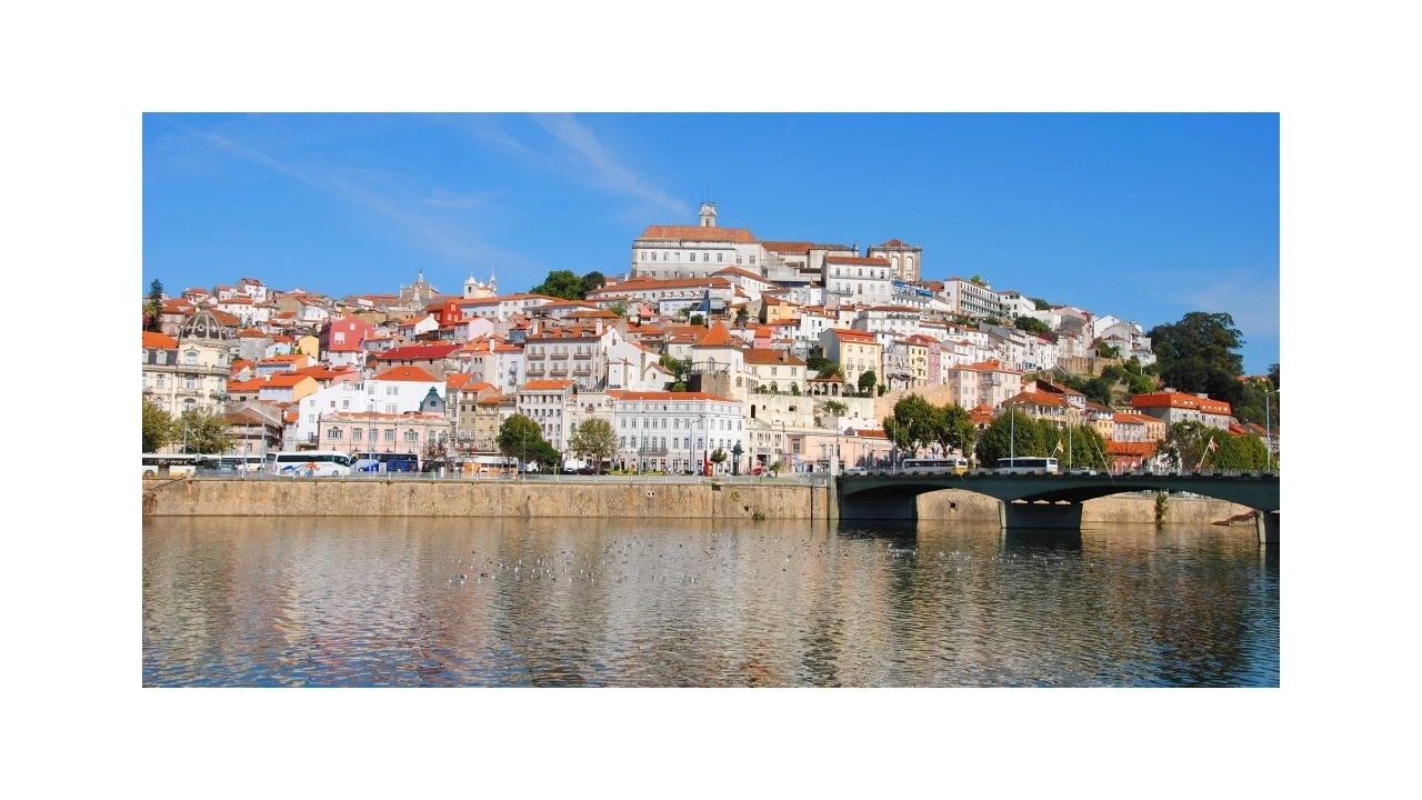 Terreno para Venda em Santo Antonio dos Olivais Foto 9
