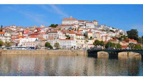 Terreno para Venda em Santo Antonio dos Olivais