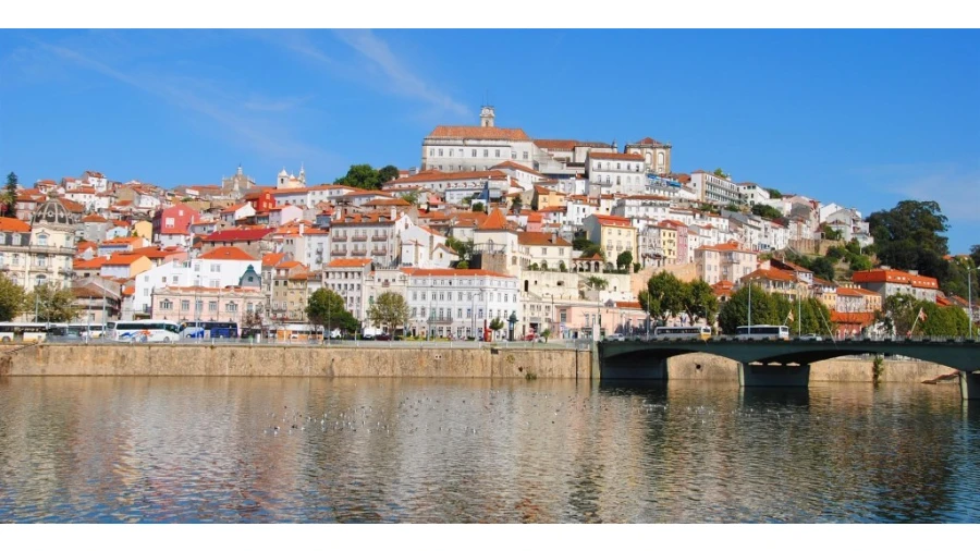 Terreno para Venda em Santo Antonio dos Olivais Foto 9