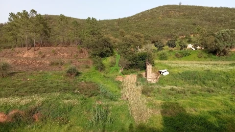 Terreno para Venda em Mexilhoeira Grande