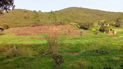 Terreno para Venda em Mexilhoeira Grande