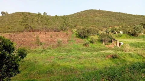 Terreno para Venda em Mexilhoeira Grande