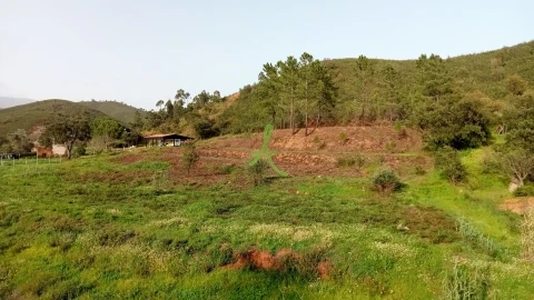 Terreno para Venda em Mexilhoeira Grande