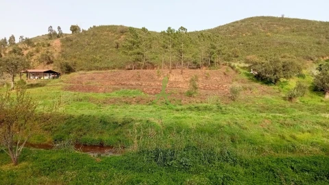 Terreno para Venda em Mexilhoeira Grande
