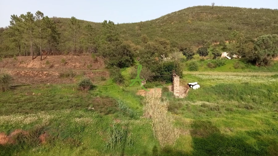 Terreno para Venda em Mexilhoeira Grande