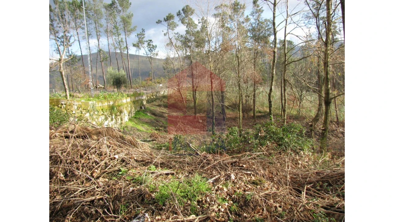 Terreno para Venda em Marrancos e Arcozelo Foto 1