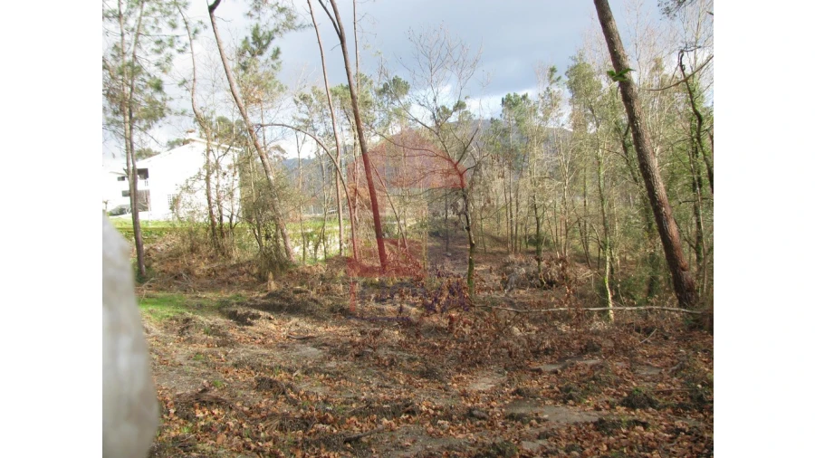 Terreno para Venda em Marrancos e Arcozelo Foto 2