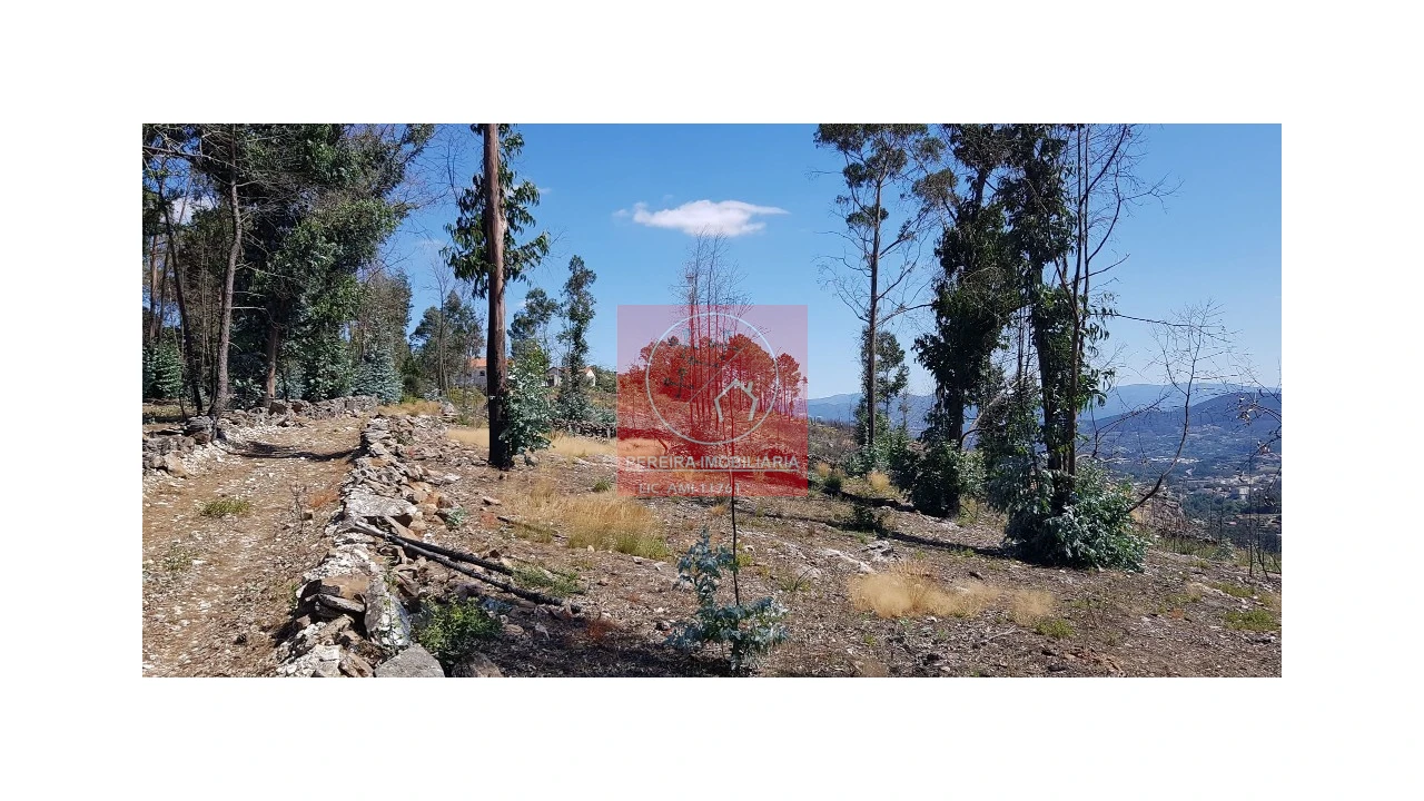 Terreno para Venda em Abadim Foto 12