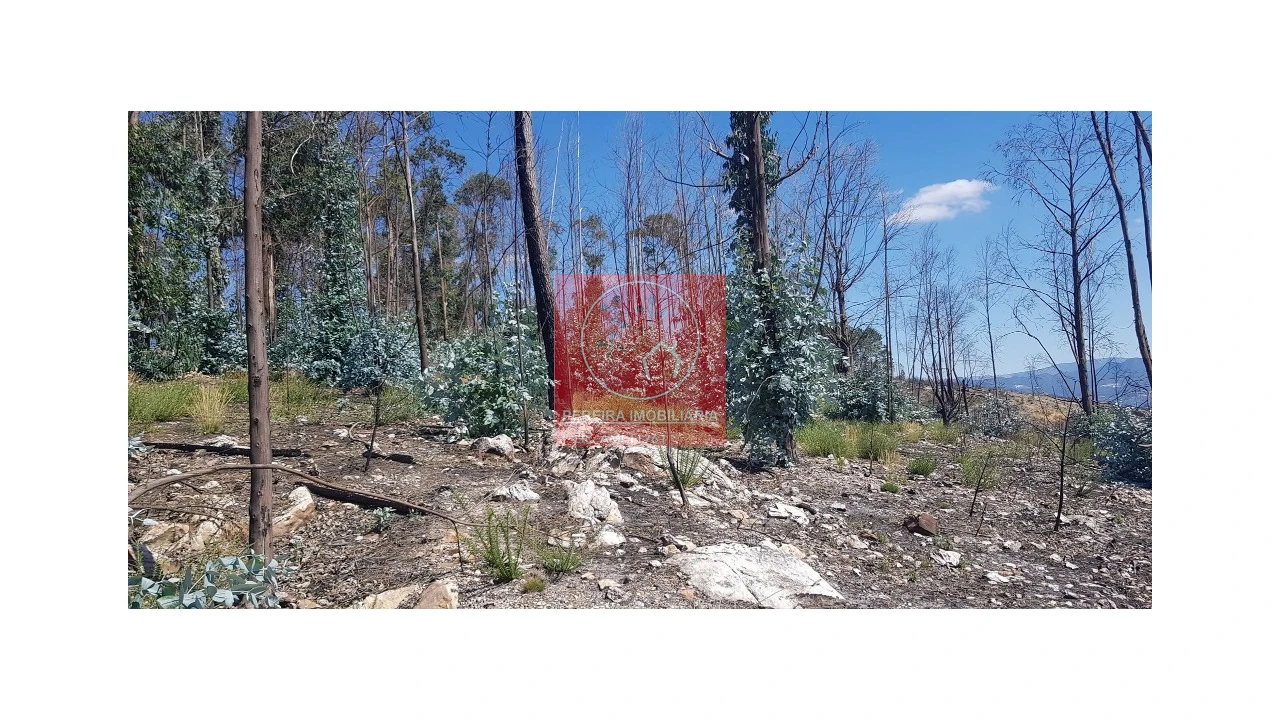 Terreno para Venda em Abadim Foto 3