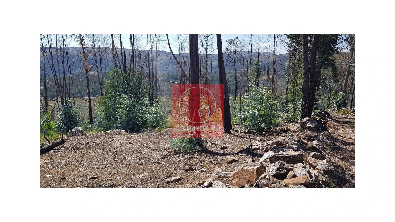 Terreno para Venda em Abadim Foto 8