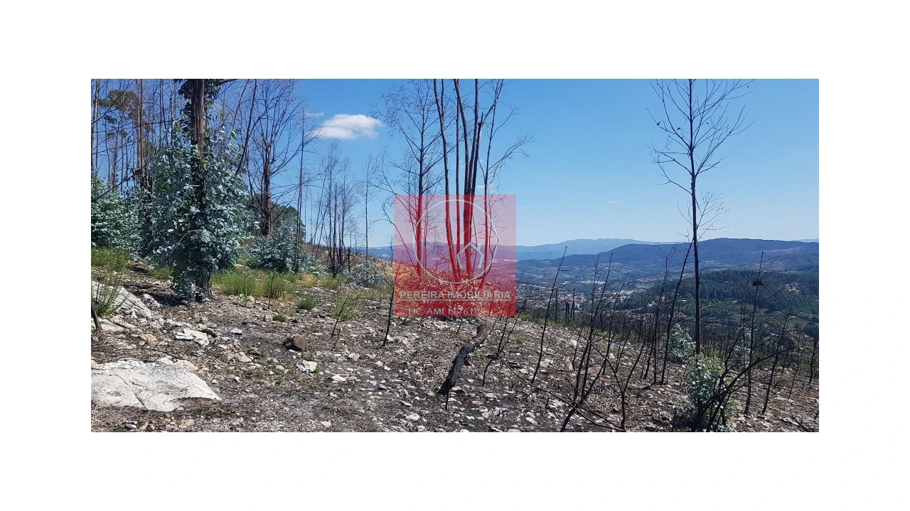 Terreno para Venda em Abadim Foto 4