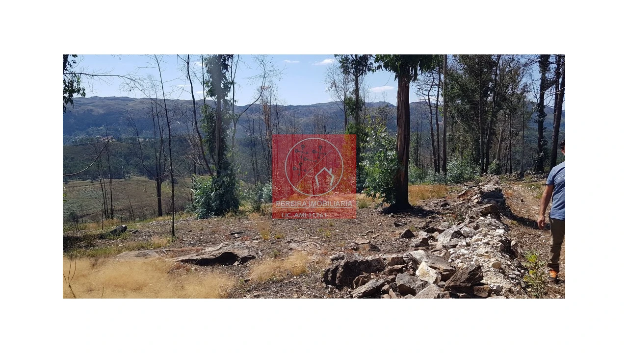 Terreno para Venda em Abadim Foto 1