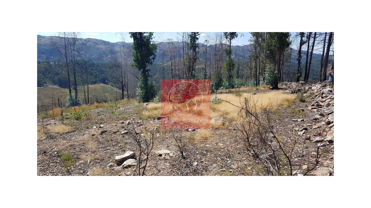 Terreno para Venda em Abadim Foto 13