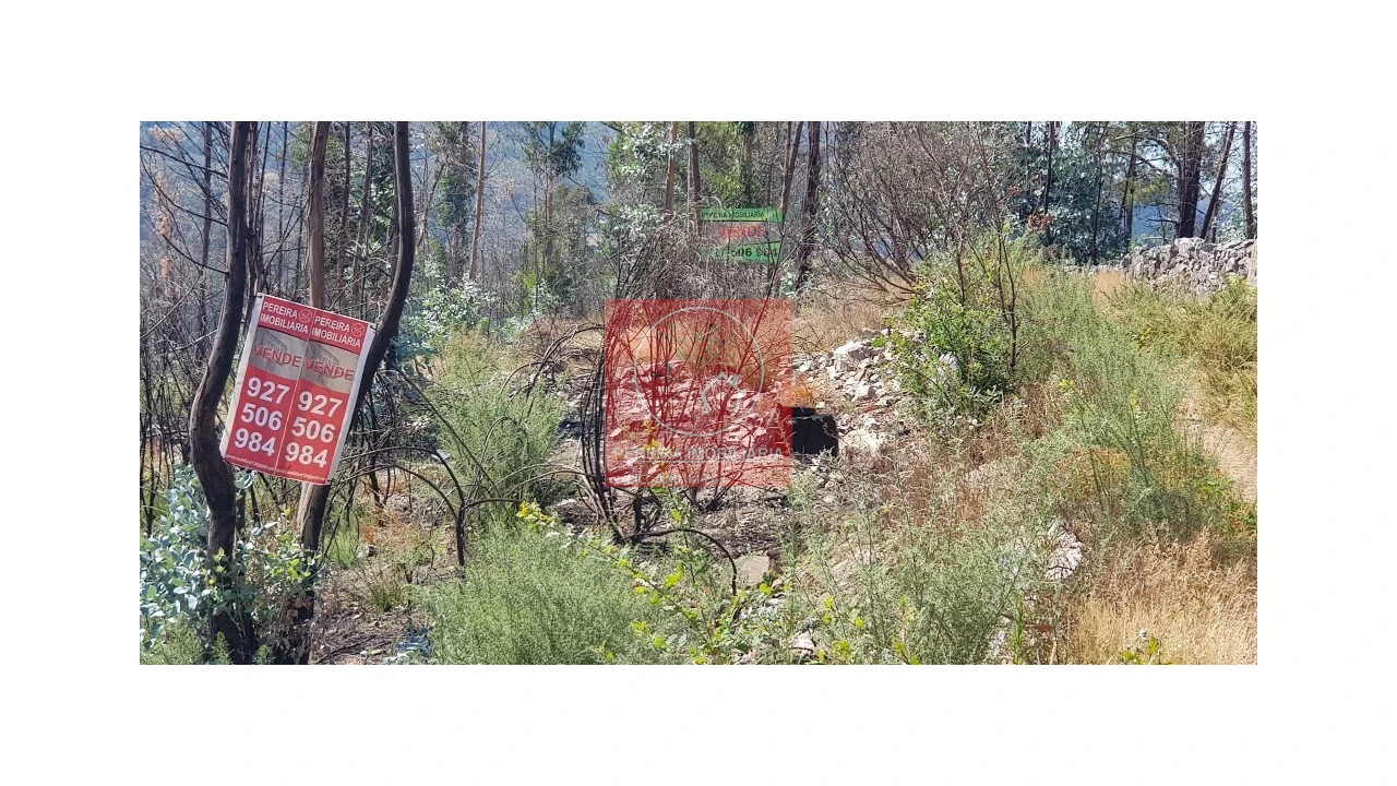 Terreno para Venda em Abadim Foto 14