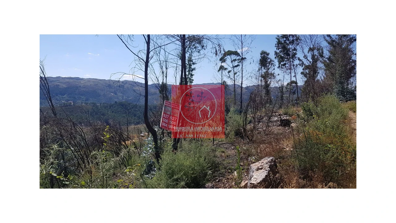 Terreno para Venda em Abadim Foto 5