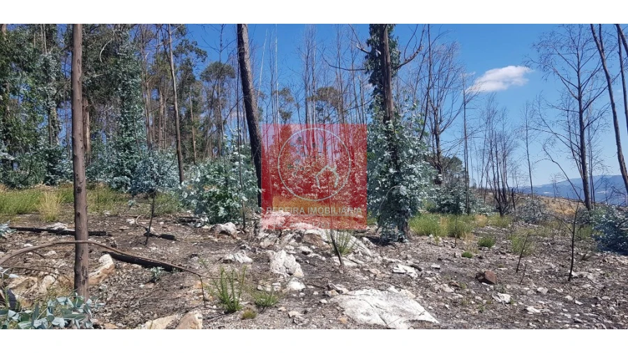 Terreno para Venda em Abadim Foto 3