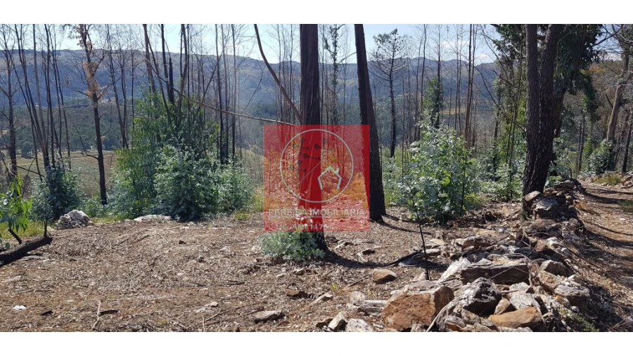 Terreno para Venda em Abadim Foto 8