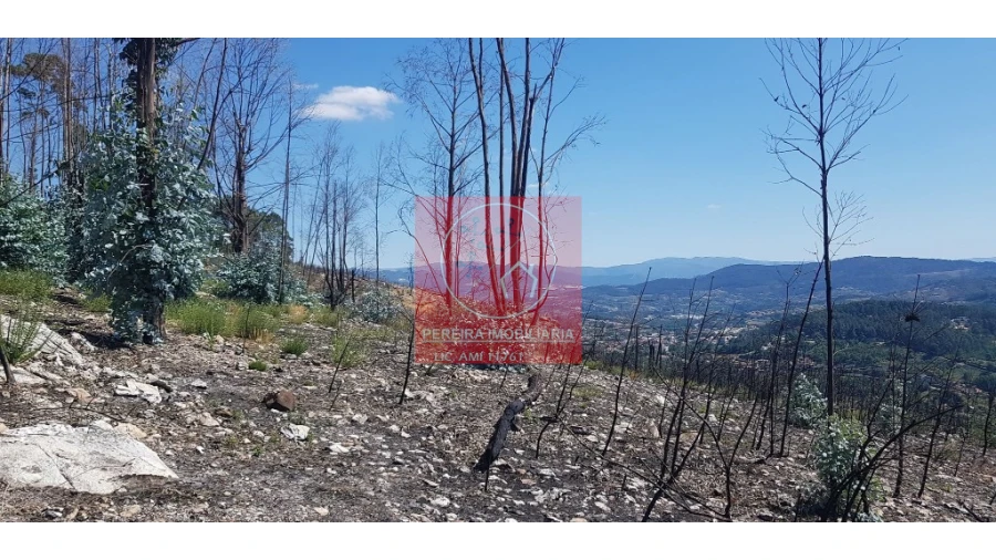 Terreno para Venda em Abadim Foto 4