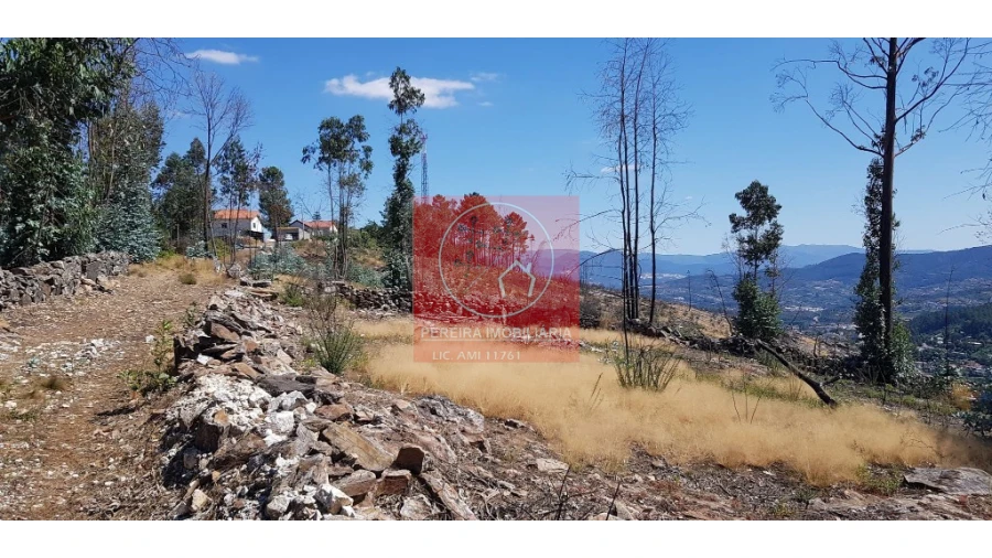 Terreno para Venda em Abadim Foto 11