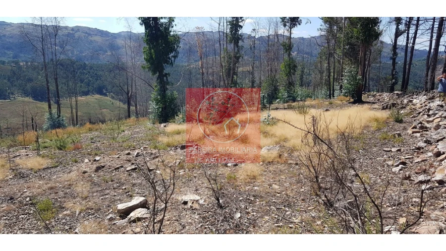 Terreno para Venda em Abadim Foto 13