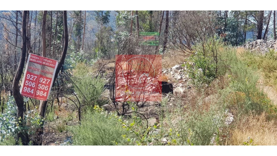 Terreno para Venda em Abadim Foto 14