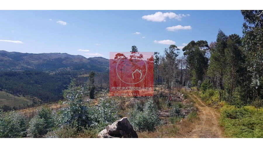 Terreno para Venda em Abadim Foto 10