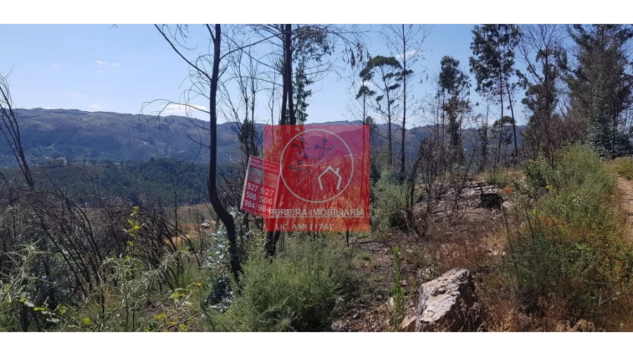 Terreno para Venda em Abadim Foto 5