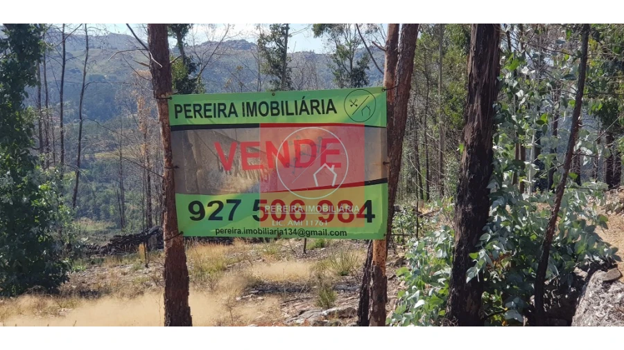 Terreno para Venda em Abadim Foto 15