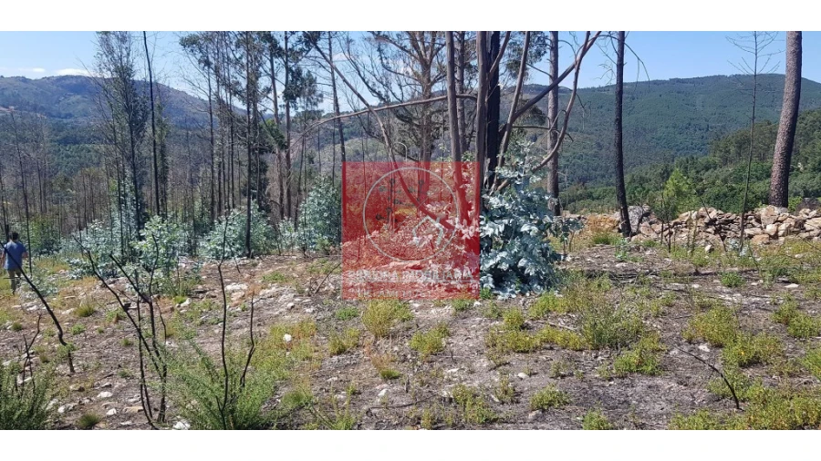 Terreno para Venda em Abadim Foto 7