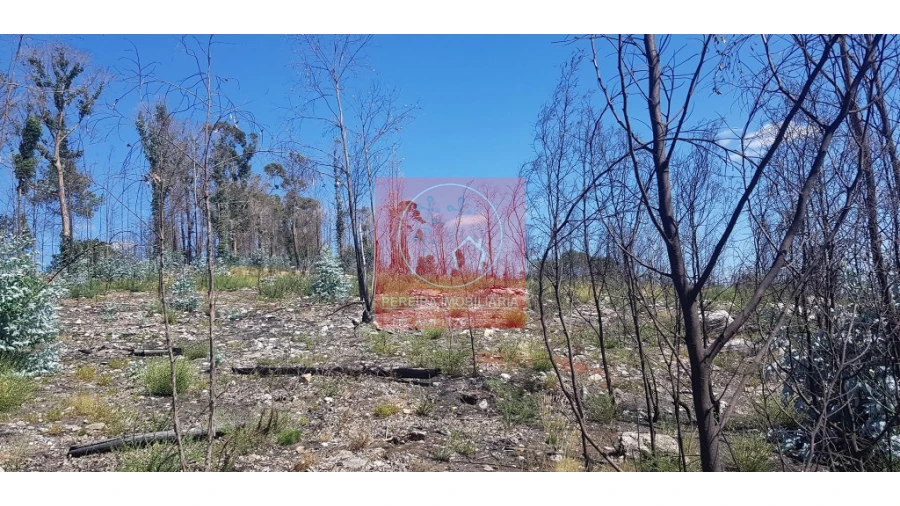 Terreno para Venda em Abadim Foto 6