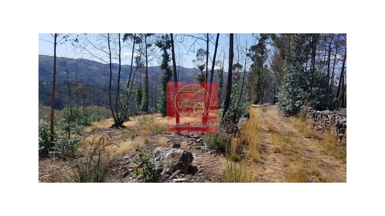 Terreno para Venda em Abadim Foto 2