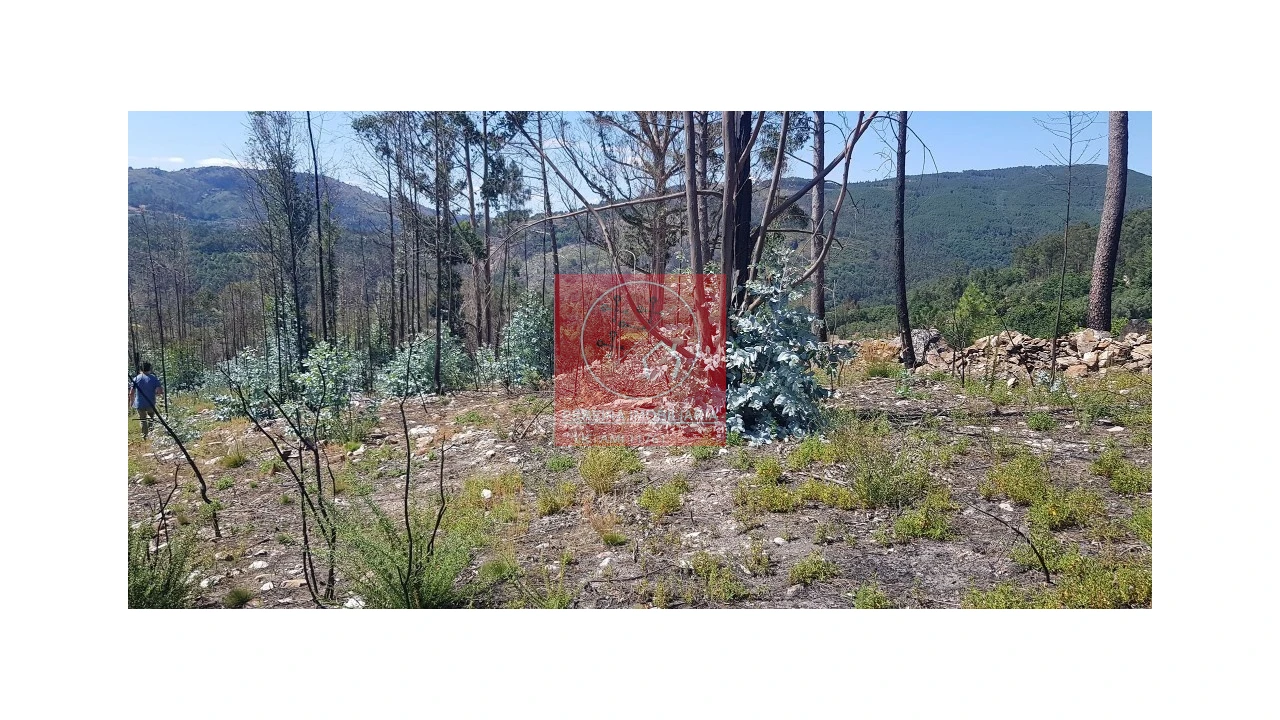 Terreno para Venda em Abadim Foto 7