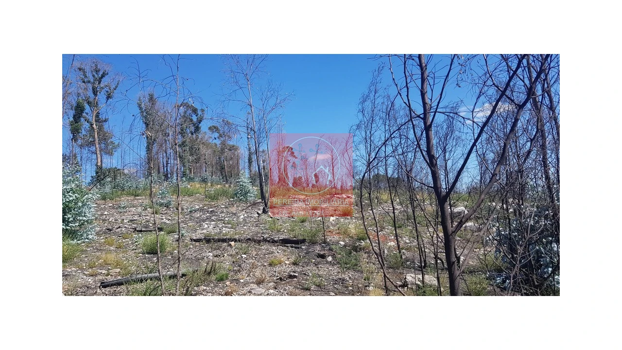 Terreno para Venda em Abadim Foto 6