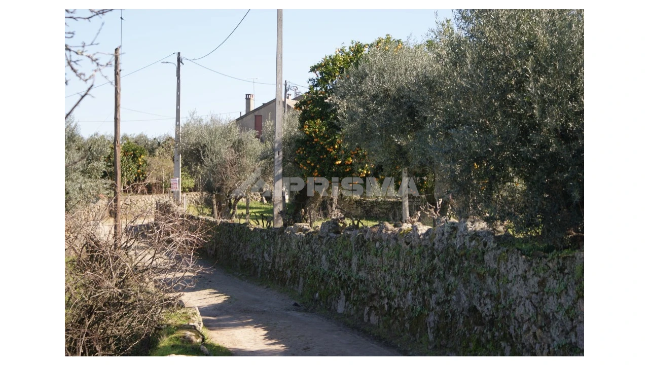 Quinta para Venda em Orca Foto 2