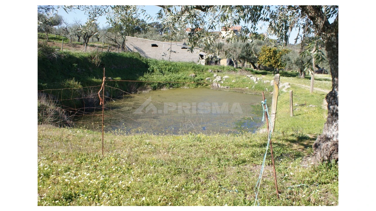 Quinta para Venda em Orca Foto 10