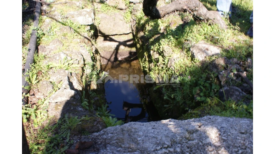 Quinta para Venda em Orca Foto 12