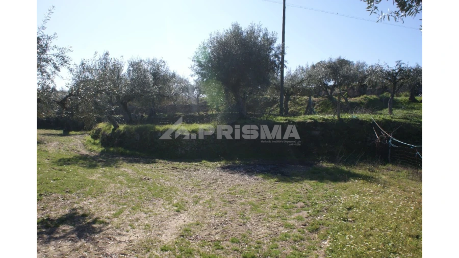 Quinta para Venda em Orca Foto 15