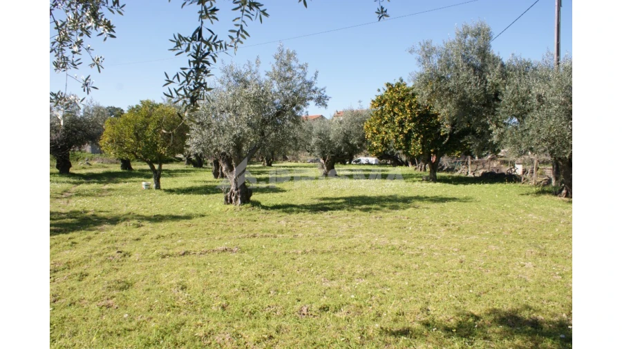 Quinta para Venda em Orca Foto 23