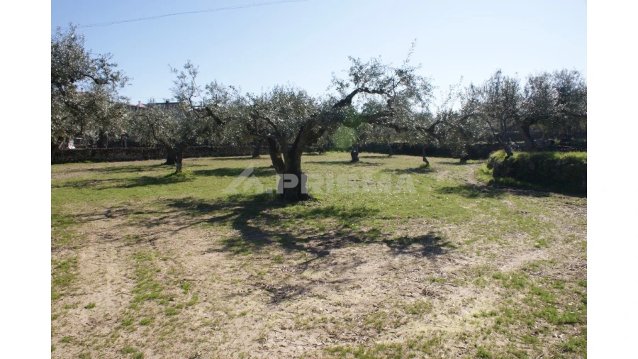 Quinta para Venda em Orca Foto 9